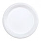 Plastic Plates (White)