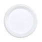 Plastic Plates (White)