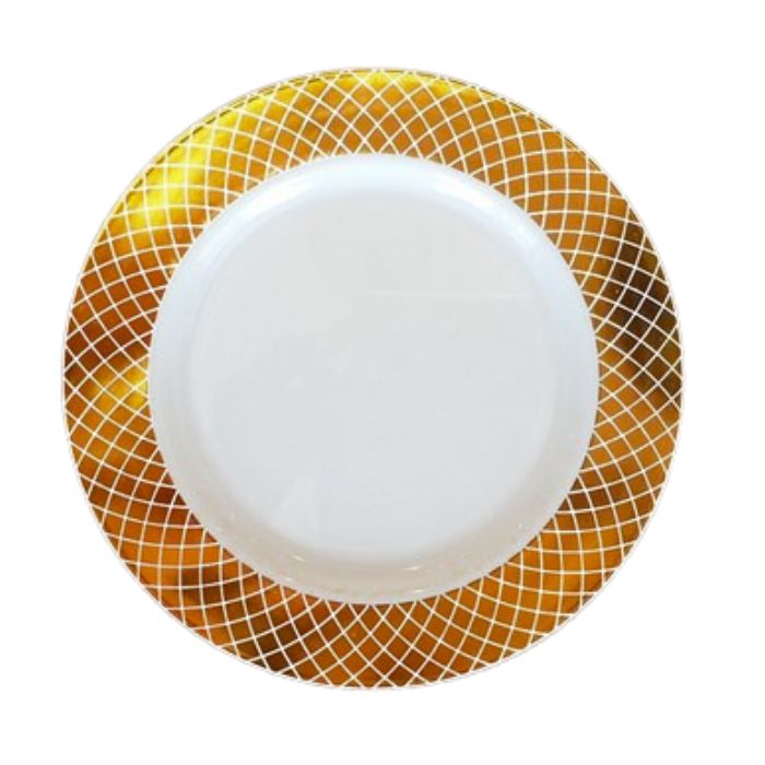 Premium Plastic Plates