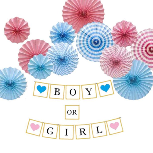 Boy or Girl Glitter Banner JQ90251