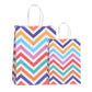 Wave Colorful Kraft Paper Bag (Rainbow)